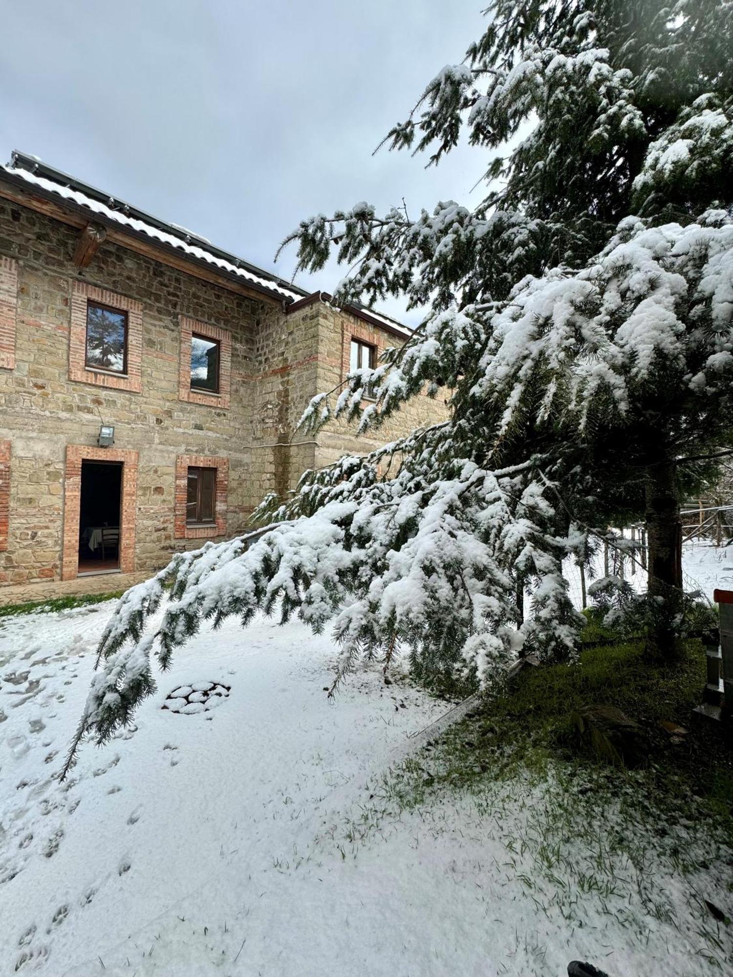 Nebris - Rifugio Del Parco Hotel San Fratello Bagian luar foto