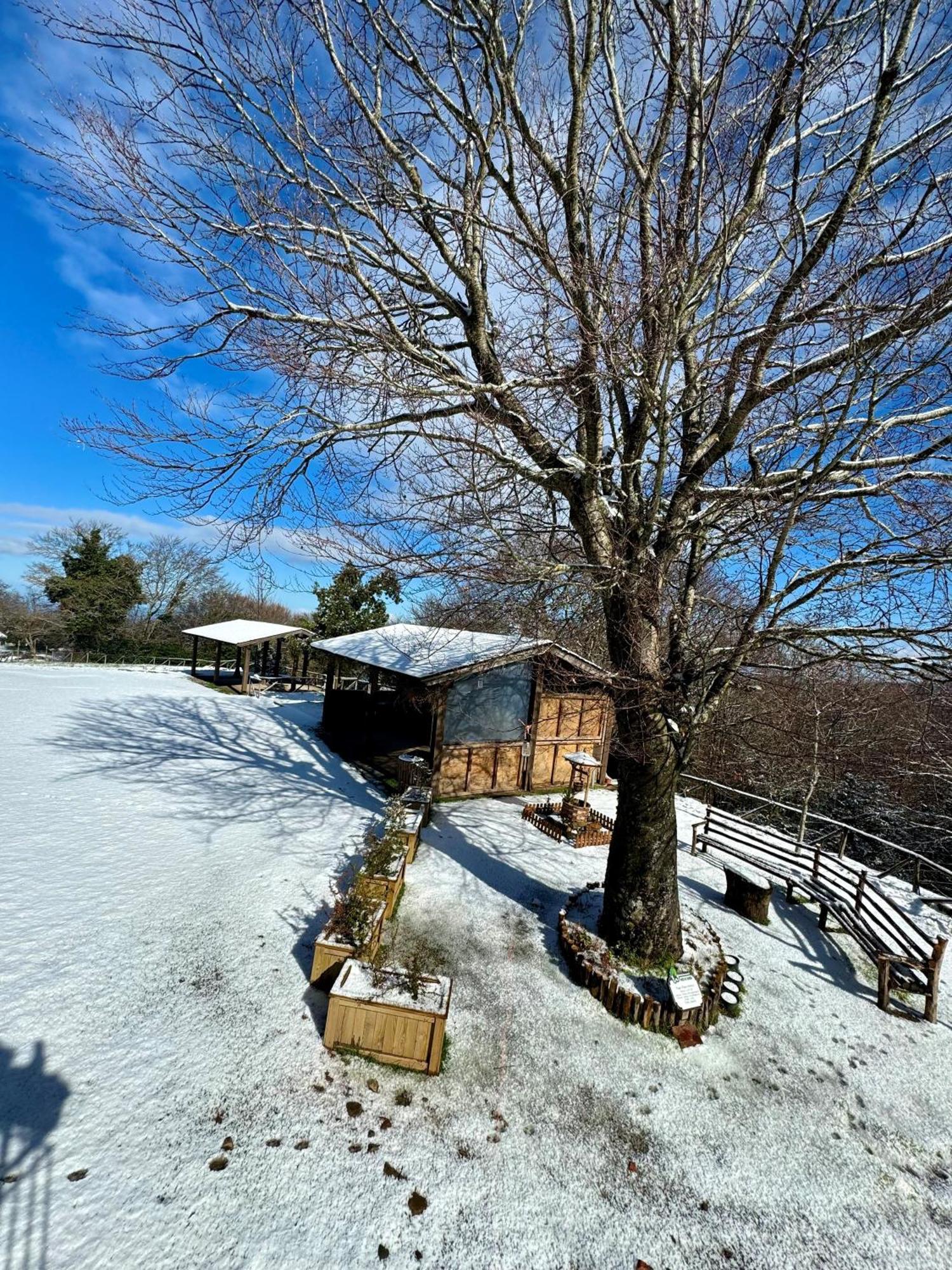Nebris - Rifugio Del Parco Hotel San Fratello Bagian luar foto